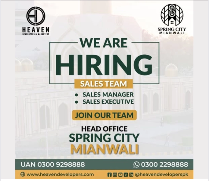 Job Opportunity Sales Executive Spring City Mianwali