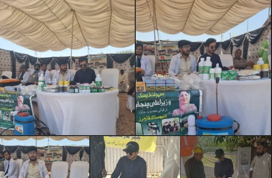 Under the Vision of CM Punjab and Instructions of DC Mianwali, Livestock Department Conducts Animal Health Screening at Mianwali Cattle Market